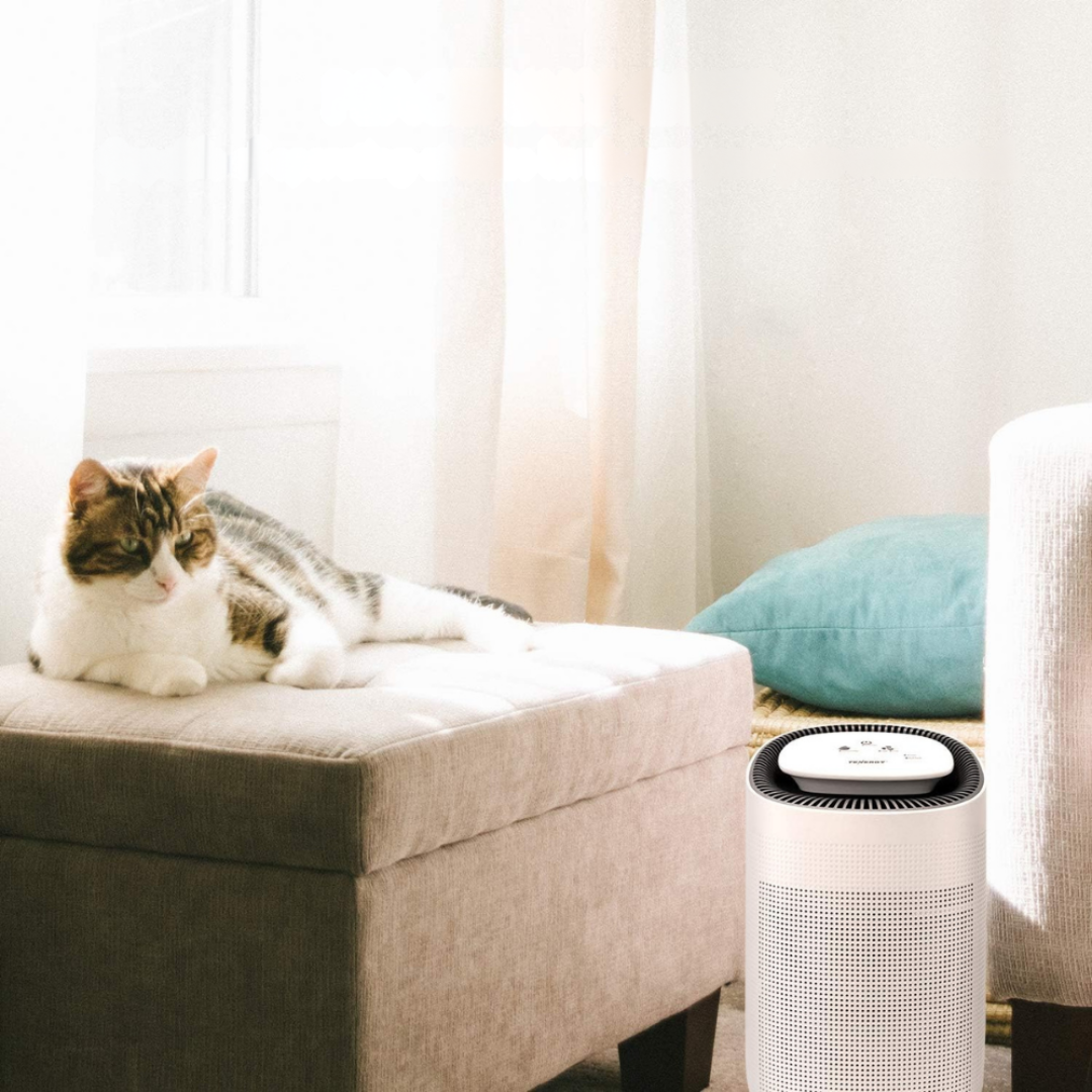 Portable Dehumidifier and Air Purifier with True HEPA Filter – Compact Quiet Design for Home and Bathroom