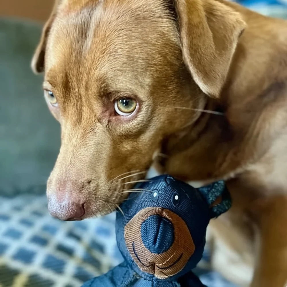 Indestructible dog toy designed for aggressive chewers, featuring dental health benefits and made from tough eco-friendly materials. 1