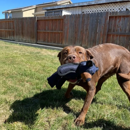 Indestructible dog toy designed for aggressive chewers, featuring dental health benefits and made from tough eco-friendly materials. 5
