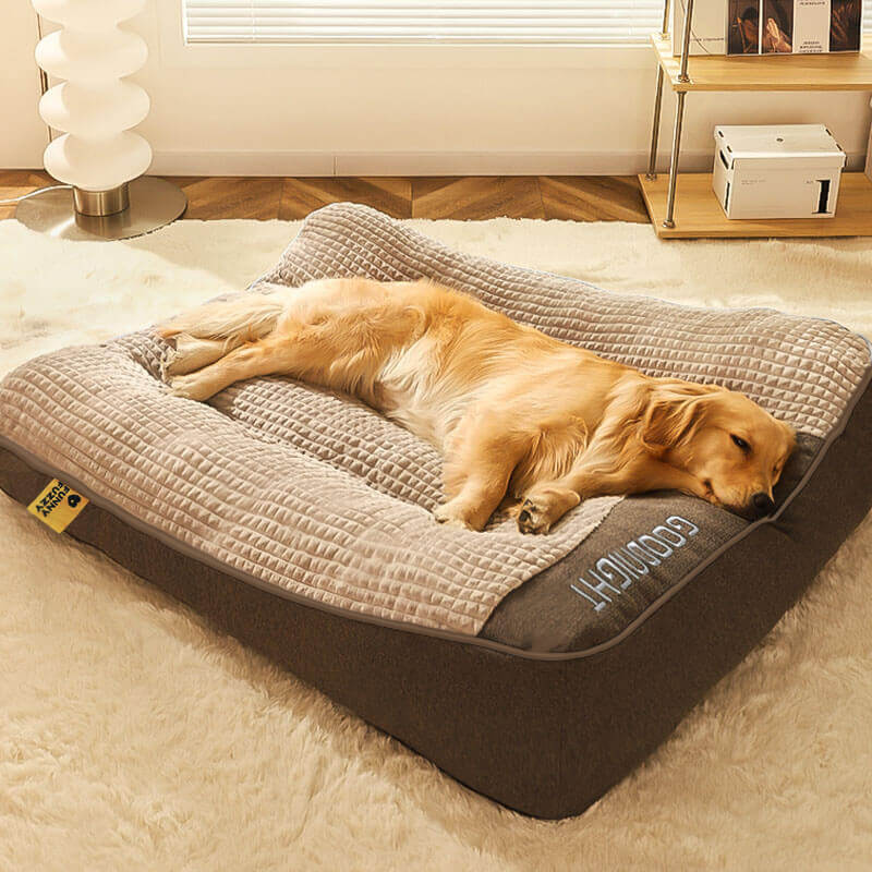 Orthopedic dog bed featuring a raised pillow and soft velor cover, designed for joint support and comfort for pets. 0