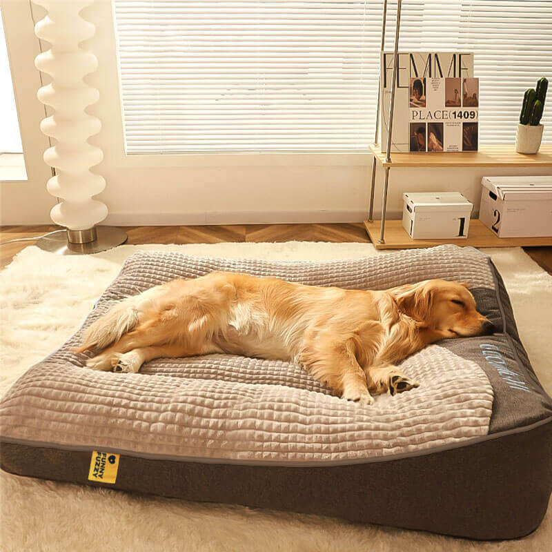 Orthopedic dog bed featuring a raised pillow and soft velor cover, designed for joint support and comfort for pets. 1