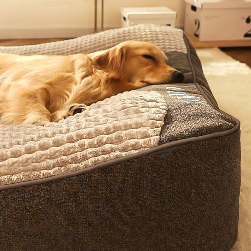 Orthopedic dog bed featuring a raised pillow and soft velor cover, designed for joint support and comfort for pets. 3