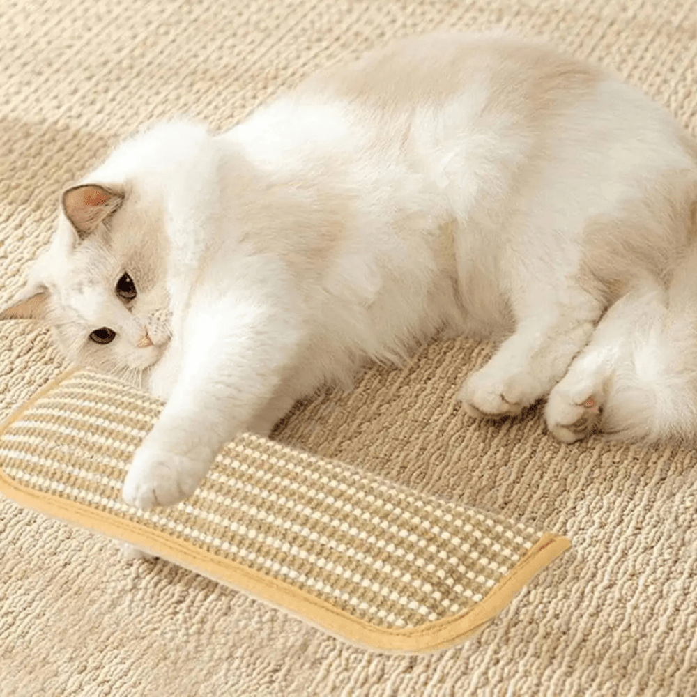 Cat Scratching Pillow infused with catnip, featuring soft plush material, available in various sizes for ultimate feline comfort and engagement. 2