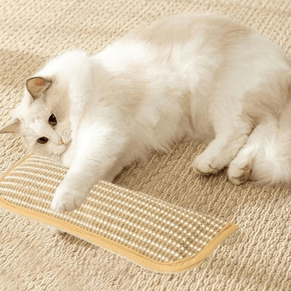 Cat Scratching Pillow infused with catnip, featuring soft plush material, available in various sizes for ultimate feline comfort and engagement. 2