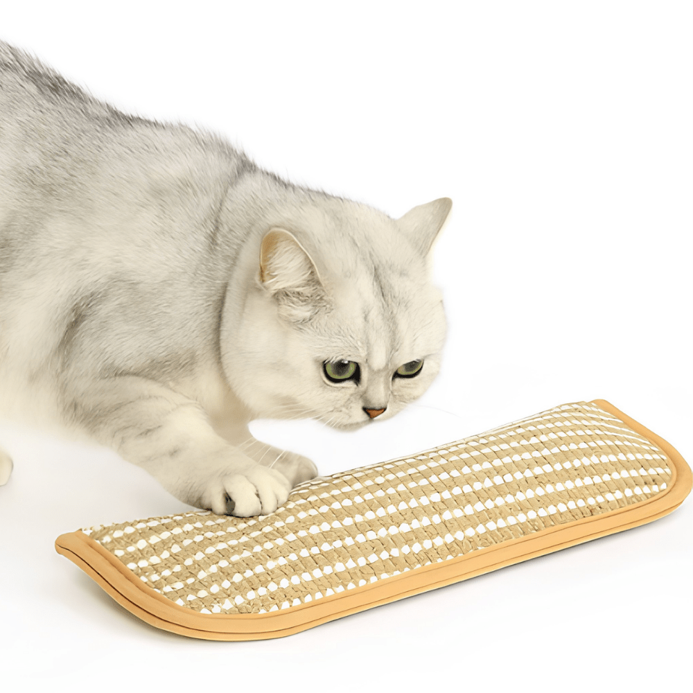 Cat Scratching Pillow infused with catnip, featuring soft plush material, available in various sizes for ultimate feline comfort and engagement. 1