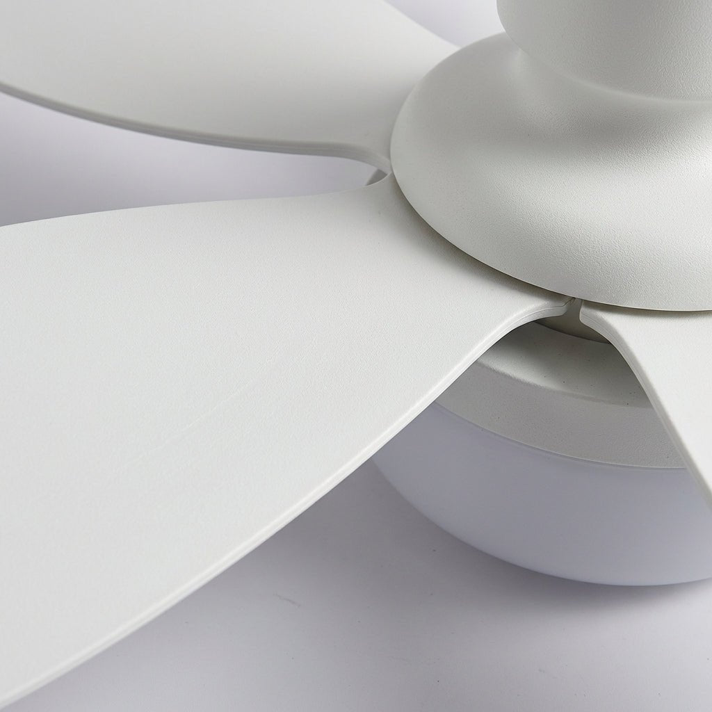 Ceiling lamp featuring a modern design with dimmable LED lights, remote control functionality, and a whisper-quiet fan, providing 4500 lum 3