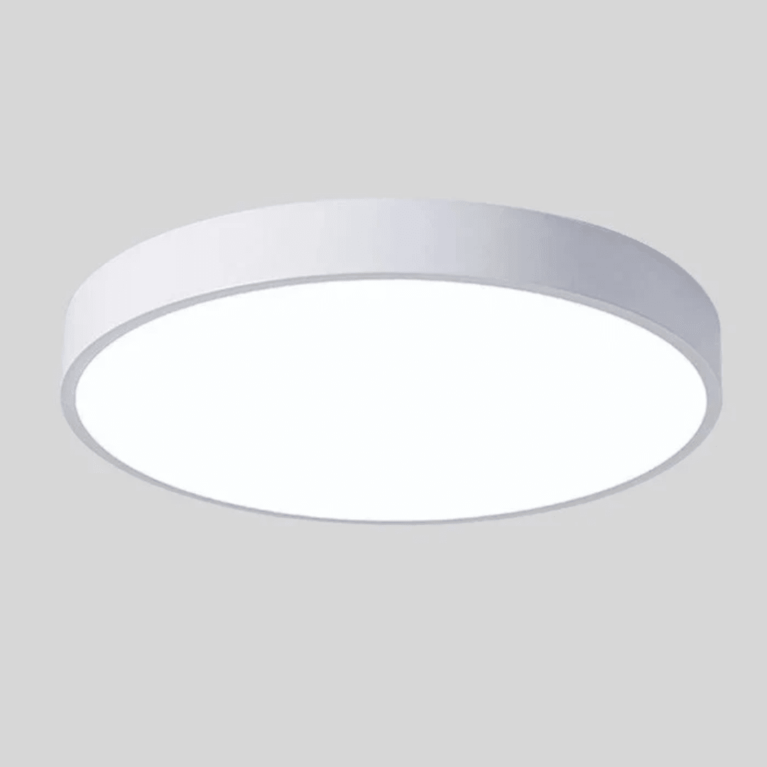 Ceiling Lamp with Flat Diffuser and Disc Frame
