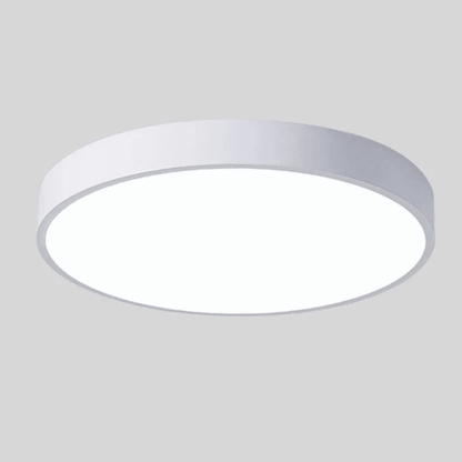Ceiling Lamp with Flat Diffuser and Disc Frame