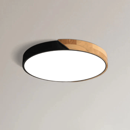 Ceiling Lamp with Flat Diffuser and Disc Frame
