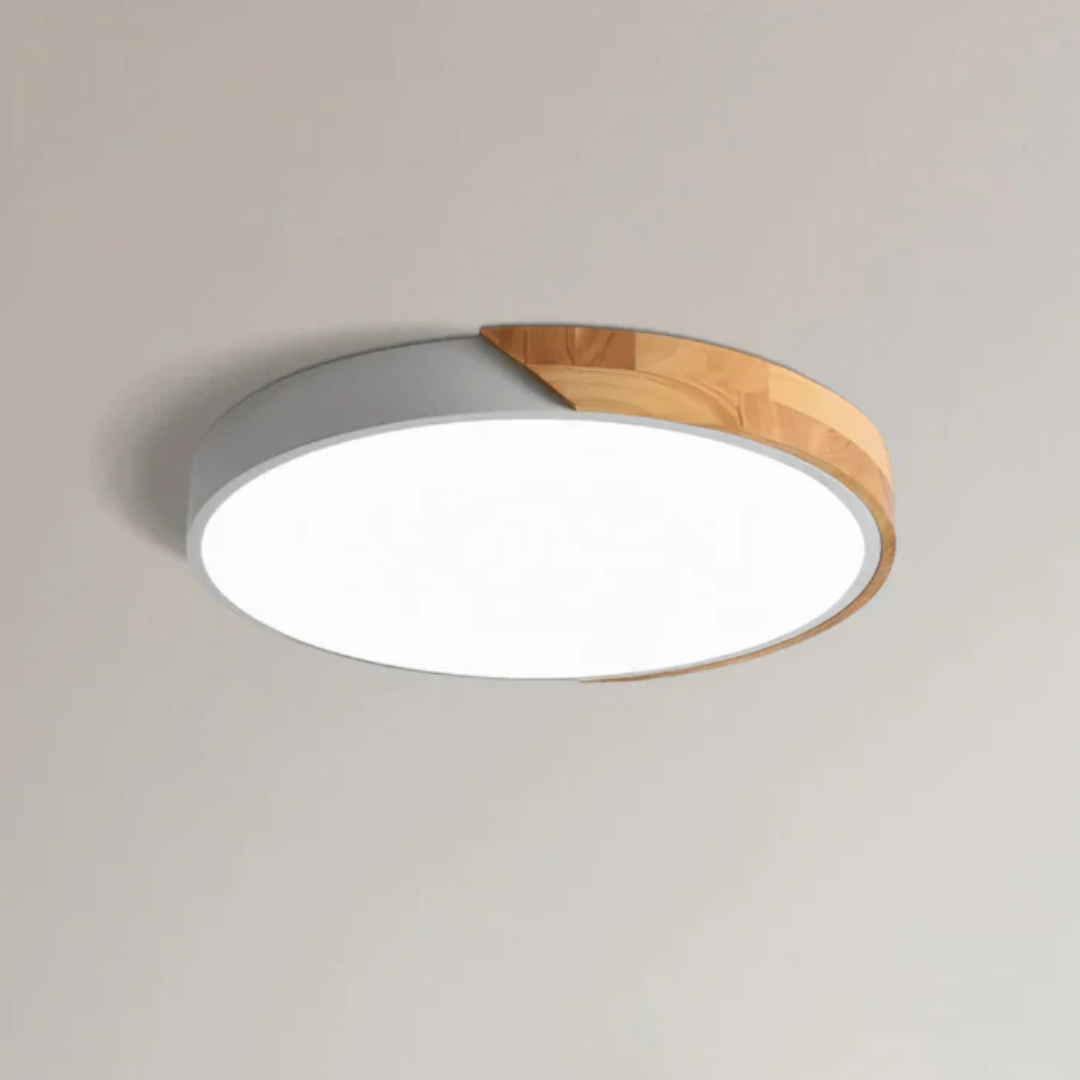 Ceiling Lamp with Flat Diffuser and Disc Frame