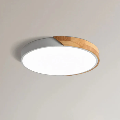 Ceiling Lamp with Flat Diffuser and Disc Frame