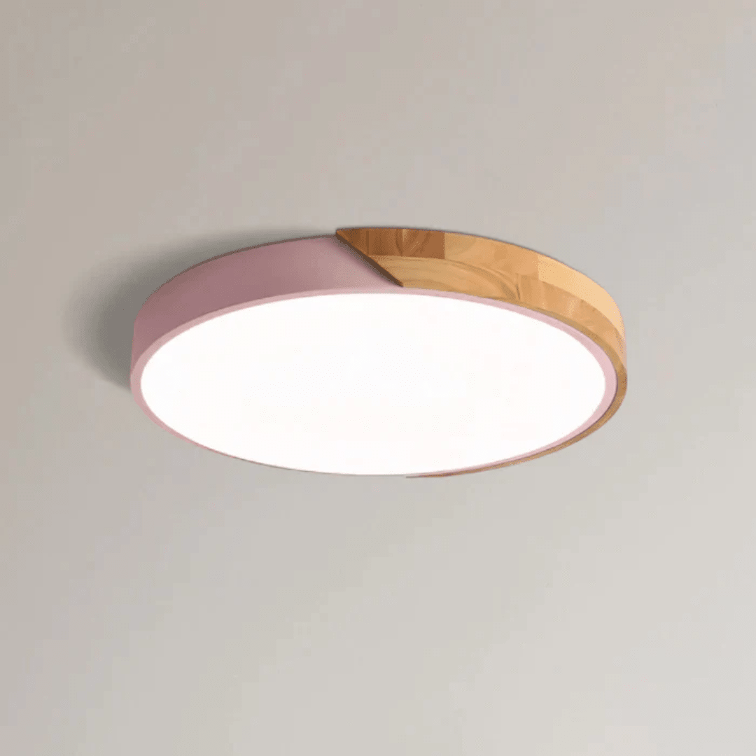 Ceiling Lamp with Flat Diffuser and Disc Frame