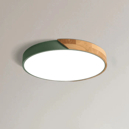 Ceiling Lamp with Flat Diffuser and Disc Frame