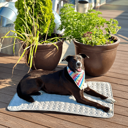 Dog cooling mat featuring self-cooling fabric and waterproof design, perfect for keeping pets comfortable; suitable for both dogs and cats, and easily washable for convenience 0