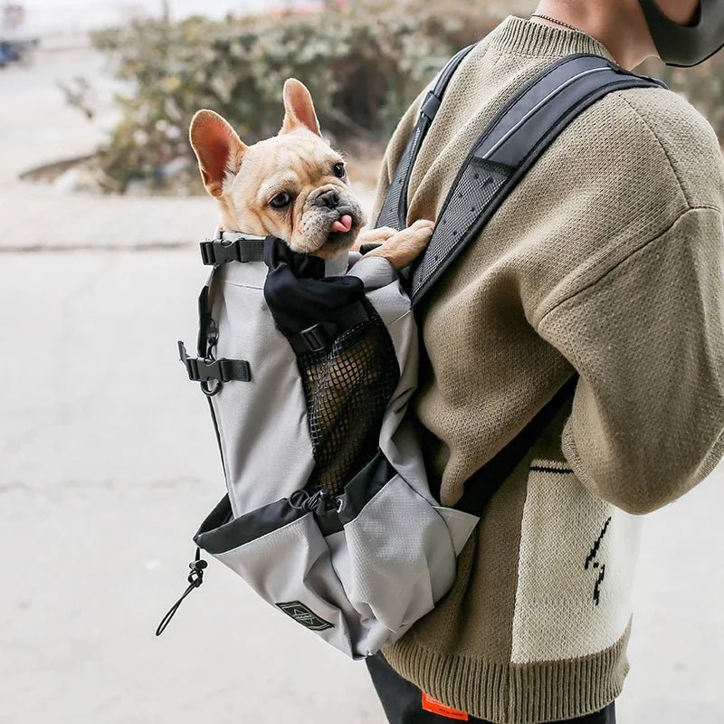Dog travel bag made of breathable nylon with an ergonomic design, ideal for small to medium breeds, ensuring comfort for pets during travel. 1