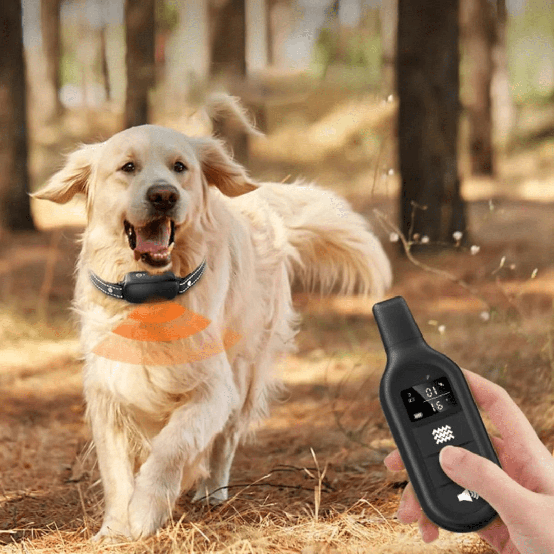 Electric Dog Training Collar with Remote Control, Waterproof Design, 16 Adjustable Shock Levels, 1000m Range
