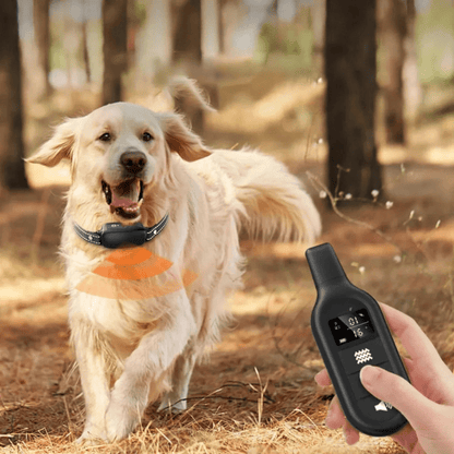 Electric Dog Training Collar with Remote Control, Waterproof Design, 16 Adjustable Shock Levels, 1000m Range