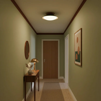 Mid-century style flush mount ceiling light featuring an integrated LED, damp rated for indoor use, with a 25 cm diameter, perfect for enhancing modern home 8