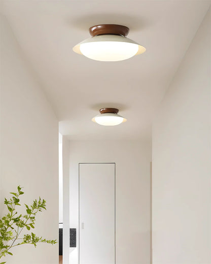 Mid-century style flush mount ceiling light featuring an integrated LED, damp rated for indoor use, with a 25 cm diameter, perfect for enhancing modern home 4
