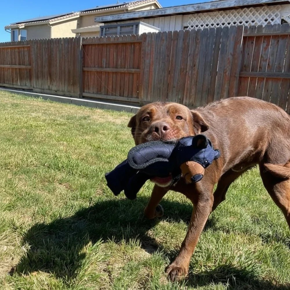 Indestructible dog toy designed for aggressive chewers, featuring dental health benefits and made from tough eco-friendly materials. 5