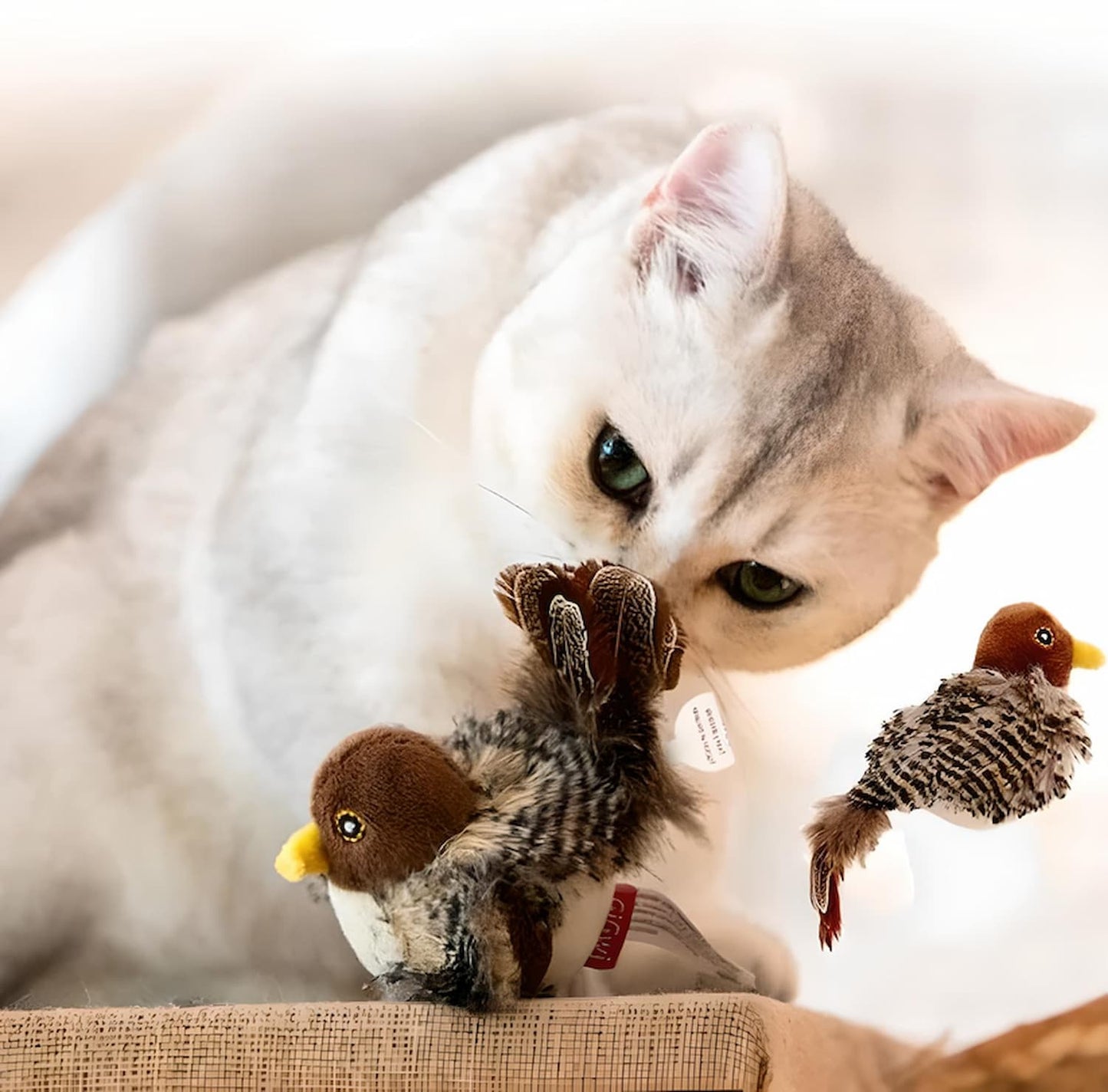 Interactive cat toy featuring lifelike bird sounds and movements, designed for indoor cats, with a rechargeable and durable build. 5