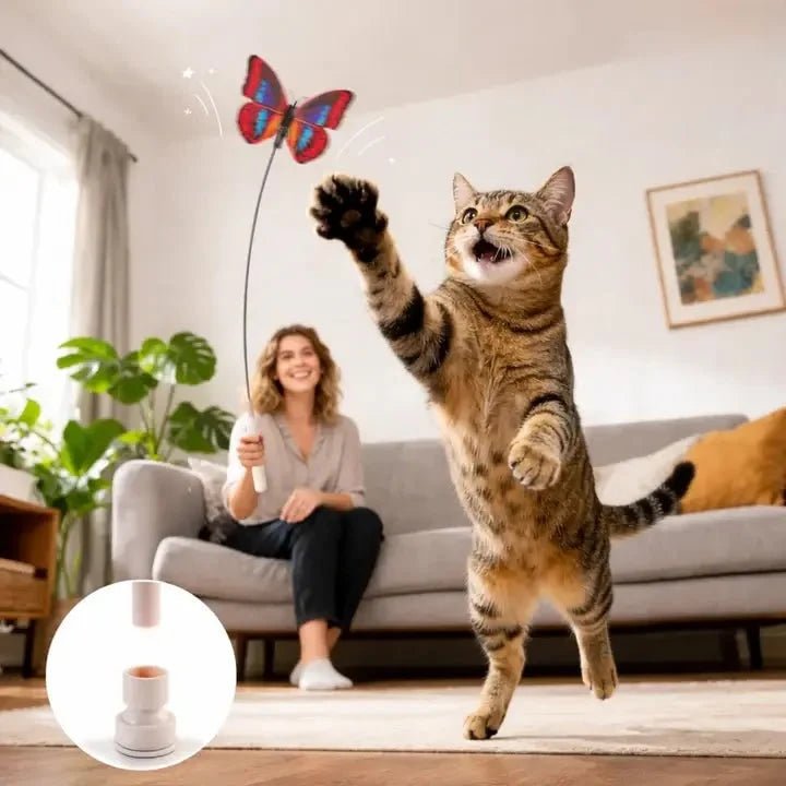 Interactive cat toy featuring a USB rechargeable butterfly that moves to engage indoor cats, made from durable food-grade silicone for safe play. 1