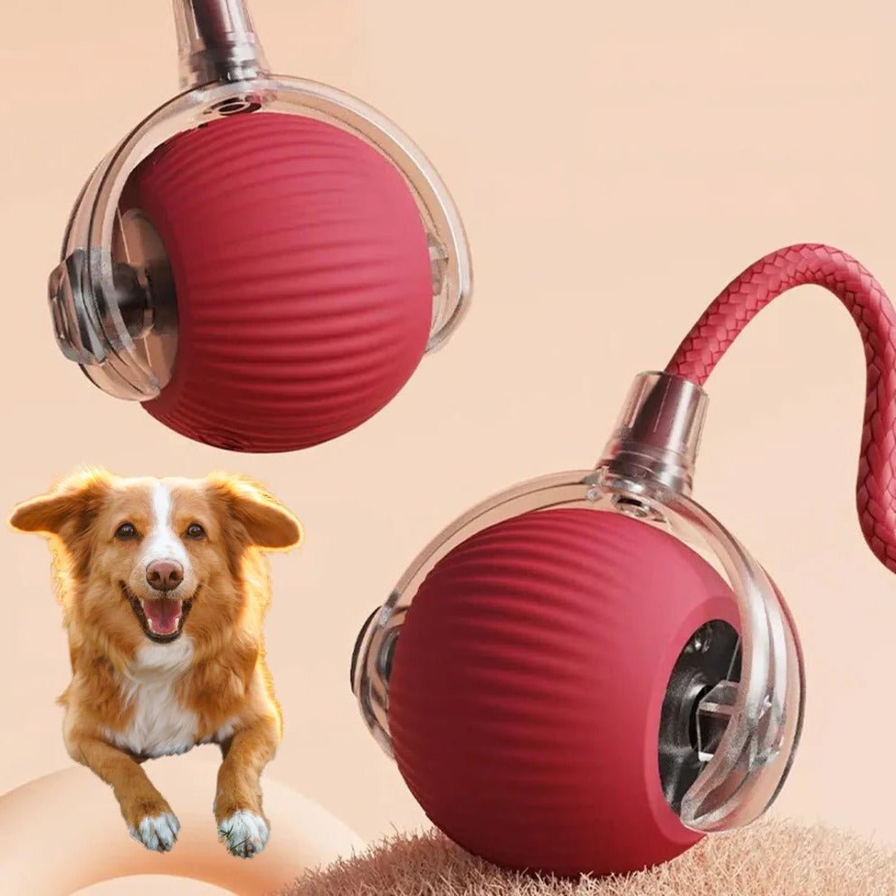 Interactive pet toy roller ball for dogs and cats, featuring motion activation and a detachable tail, made of non-toxic plastic, 9cm diameter. 0