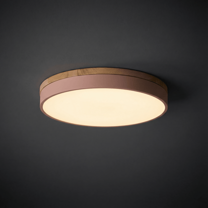 LED ceiling lamp featuring a modern round flush mount design, stepless dimming capability, and remote control for convenient brightness adjustment, ideal for enhancing living room 5