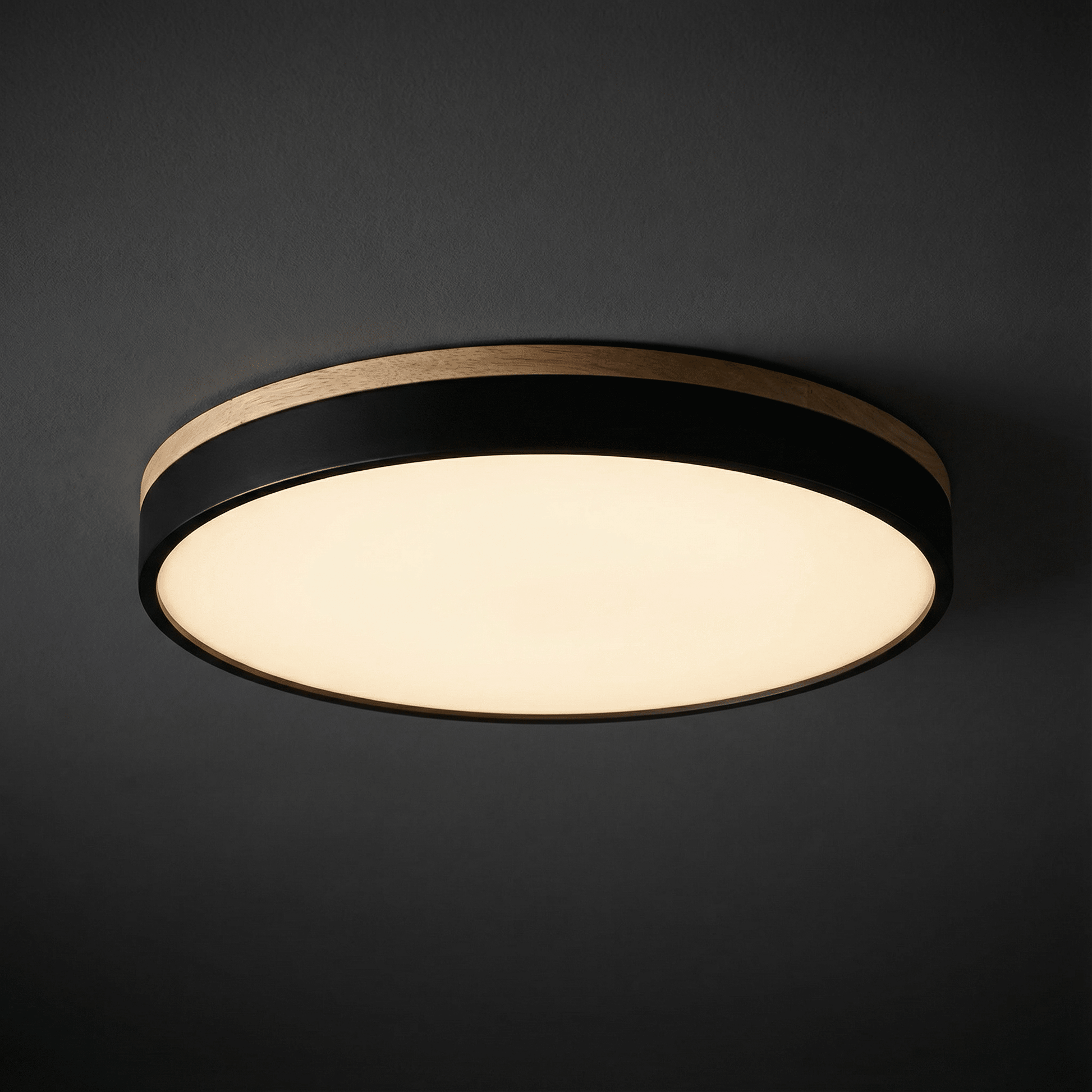 LED ceiling lamp featuring a modern round flush mount design, stepless dimming capability, and remote control for convenient brightness adjustment, ideal for enhancing living room 0