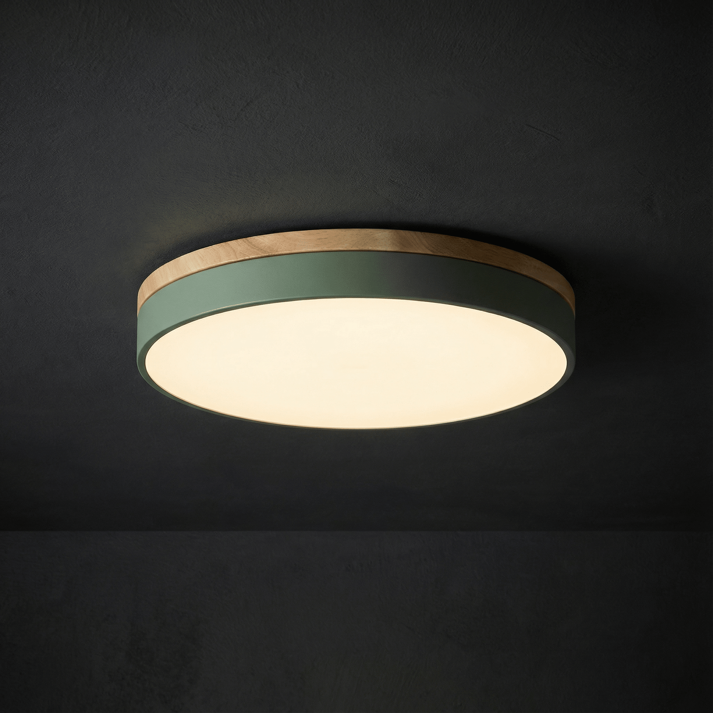 LED ceiling lamp featuring a modern round flush mount design, stepless dimming capability, and remote control for convenient brightness adjustment, ideal for enhancing living room 4