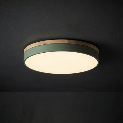 LED ceiling lamp featuring a modern round flush mount design, stepless dimming capability, and remote control for convenient brightness adjustment, ideal for enhancing living room 4