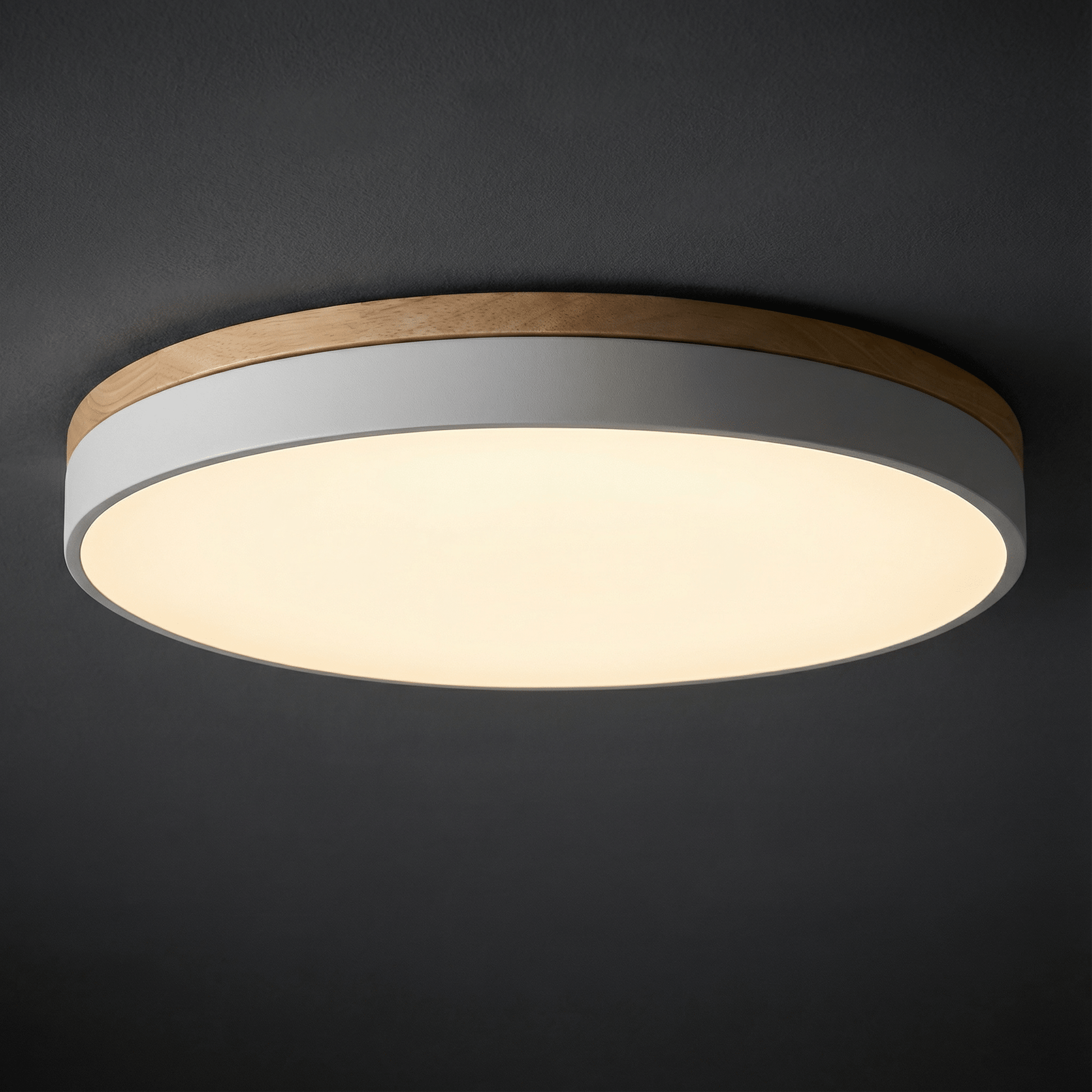 LED ceiling lamp featuring a modern round flush mount design, stepless dimming capability, and remote control for convenient brightness adjustment, ideal for enhancing living room 1