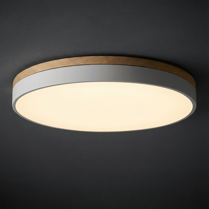 LED ceiling lamp featuring a modern round flush mount design, stepless dimming capability, and remote control for convenient brightness adjustment, ideal for enhancing living room 1
