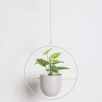 Minimalist plant hanger for hanging pots, featuring a modern metal design perfect for indoor use, showcasing versatility for various decor styles. 11