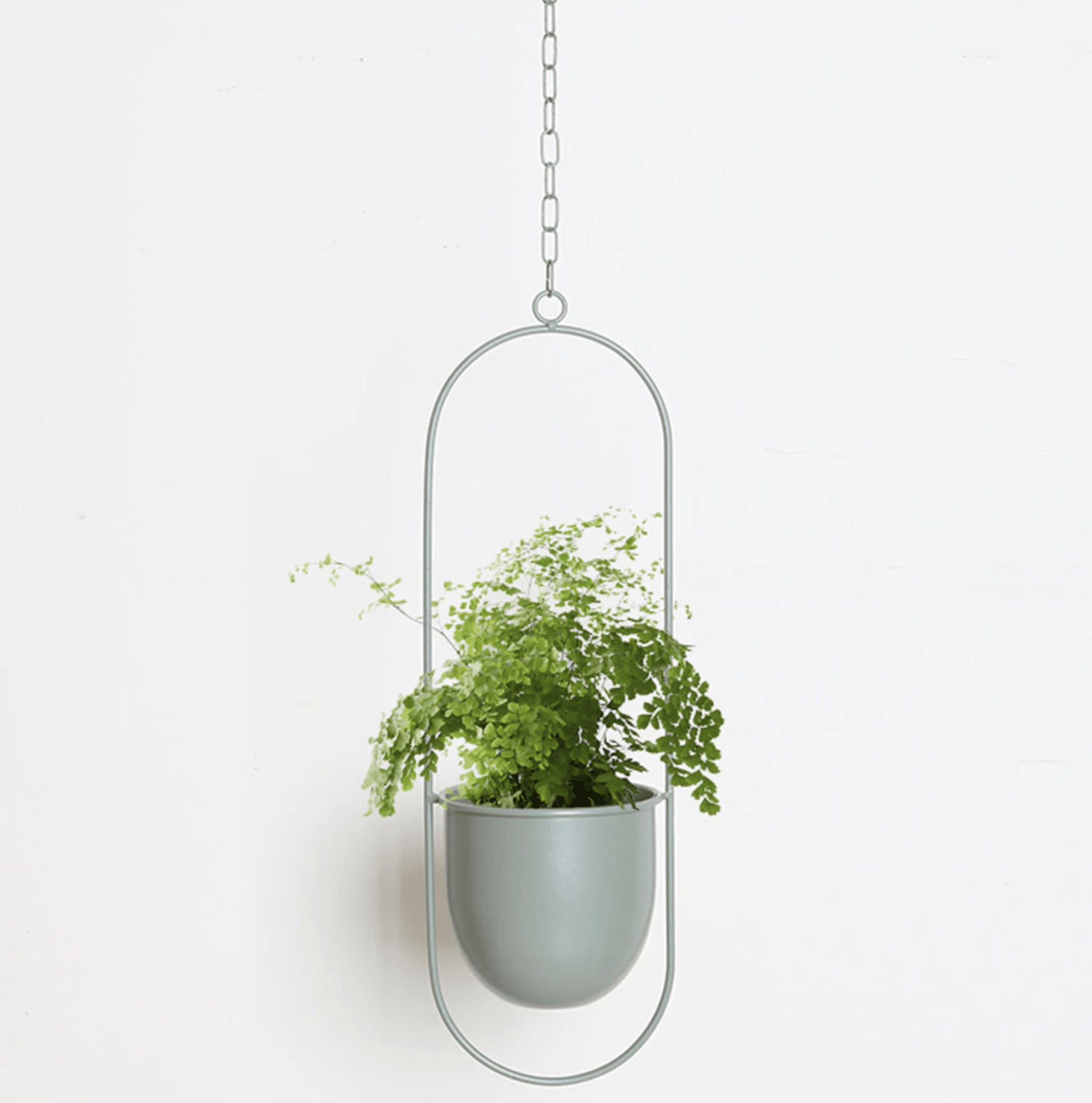 Minimalist plant hanger for hanging pots, featuring a modern metal design perfect for indoor use, showcasing versatility for various decor styles. 8
