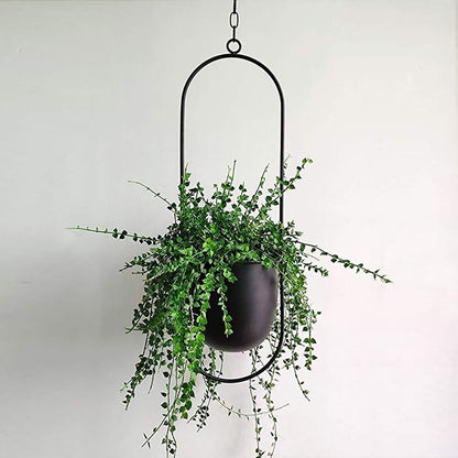 Minimalist plant hanger for hanging pots, featuring a modern metal design perfect for indoor use, showcasing versatility for various decor styles. 0