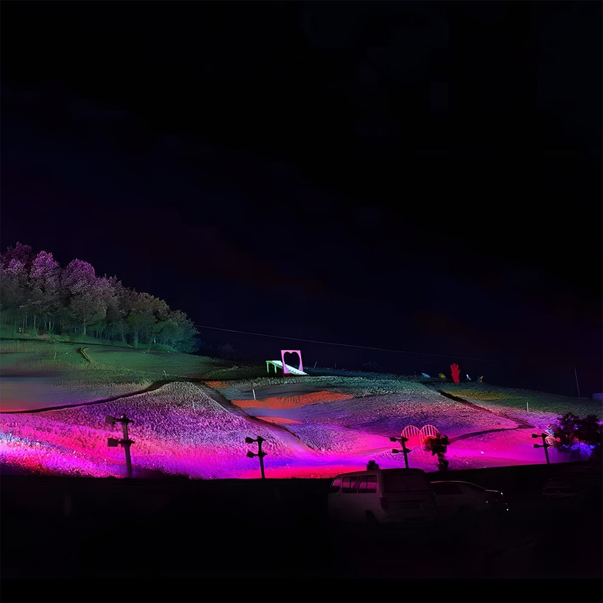 Outdoor LED Spotlight with RGB lighting in sleek black design, available in 30W, 50W, or 72W options, ideal for enhancing 3