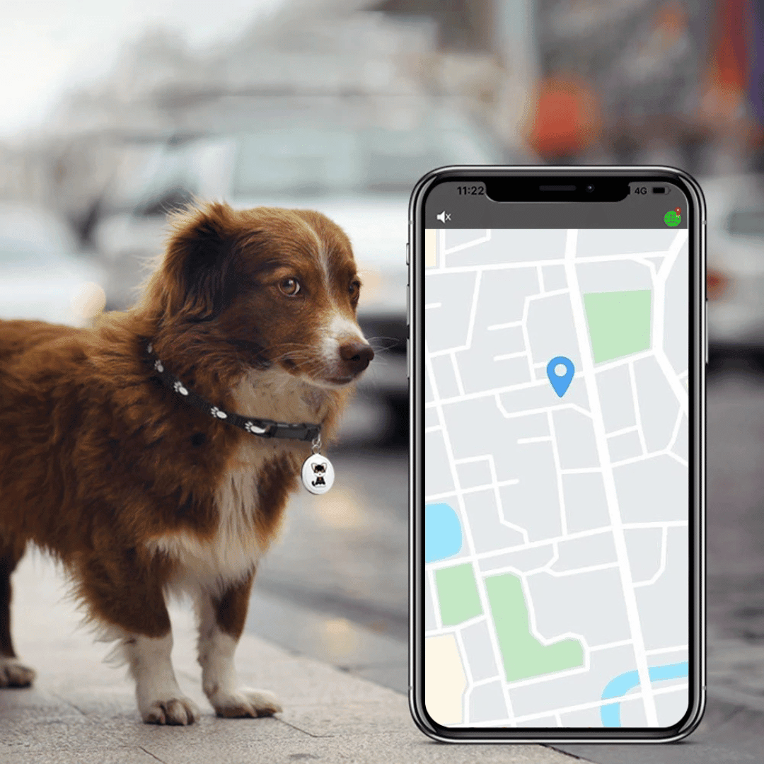 Pet GPS Tracker for dogs and cats featuring real-time location tracking, sound alert, and a waterproof design for outdoor use. 3