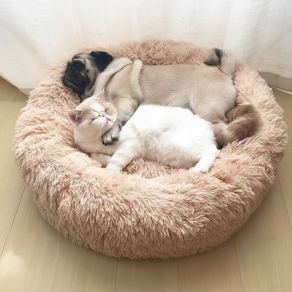 Plush Cat Bed Lounger designed for ultimate comfort, featuring a soft supportive design available in various sizes and colors, perfect for pampering your feline friend 0