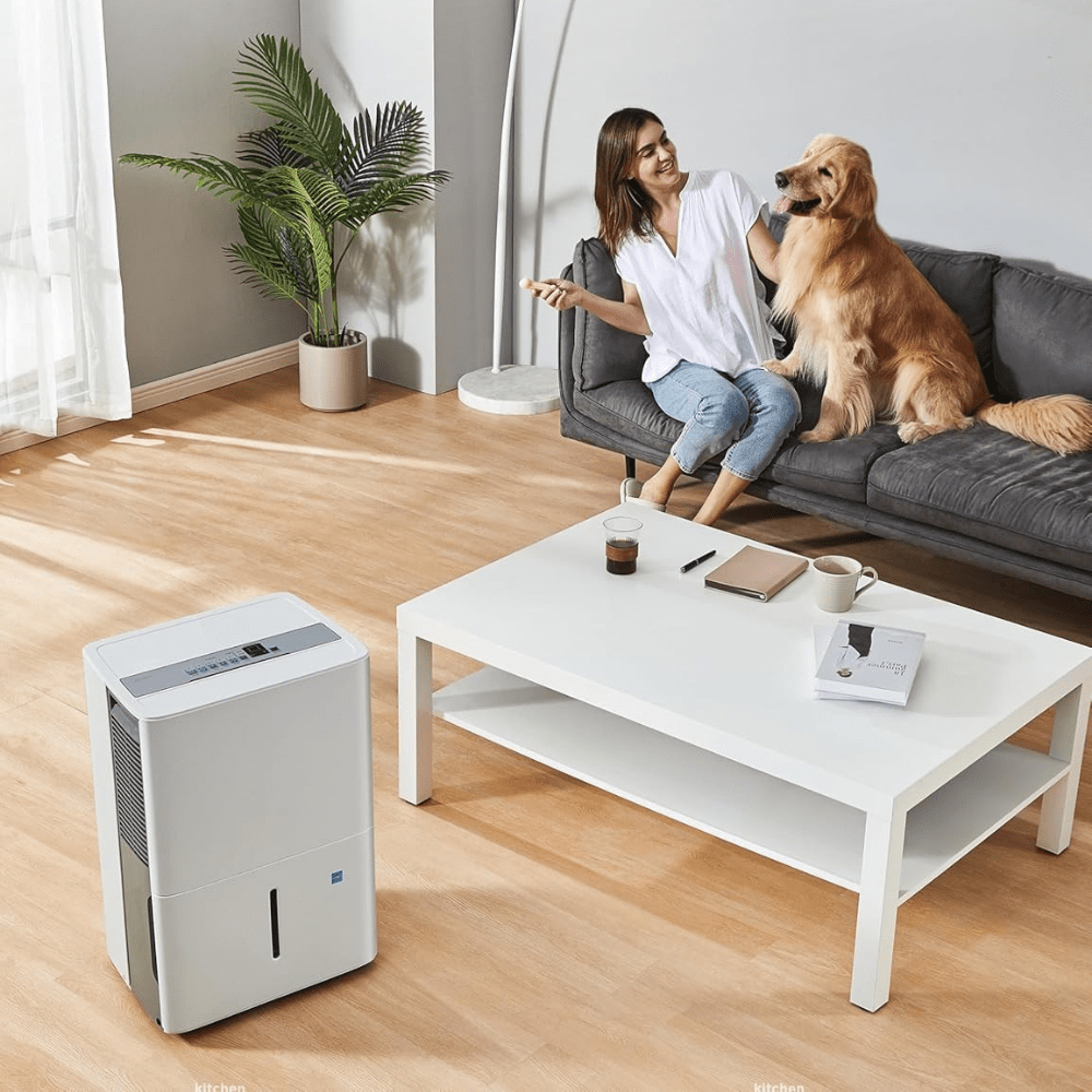 Portable dehumidifier with smart control, designed for bathroom and bedroom use, featuring quiet operation and energy efficiency, capable of removing 22 pints of 1