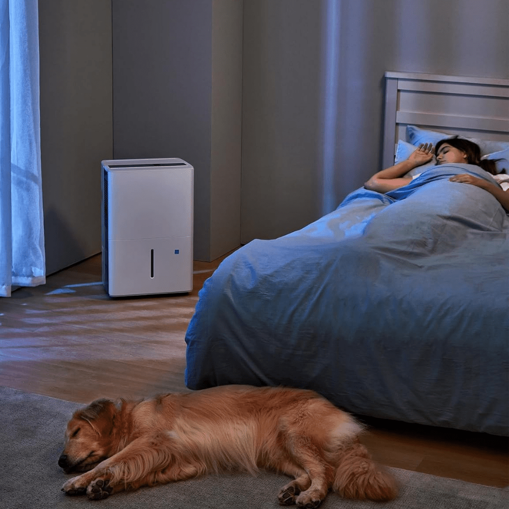 Portable dehumidifier with smart control, designed for bathroom and bedroom use, featuring quiet operation and energy efficiency, capable of removing 22 pints of 2