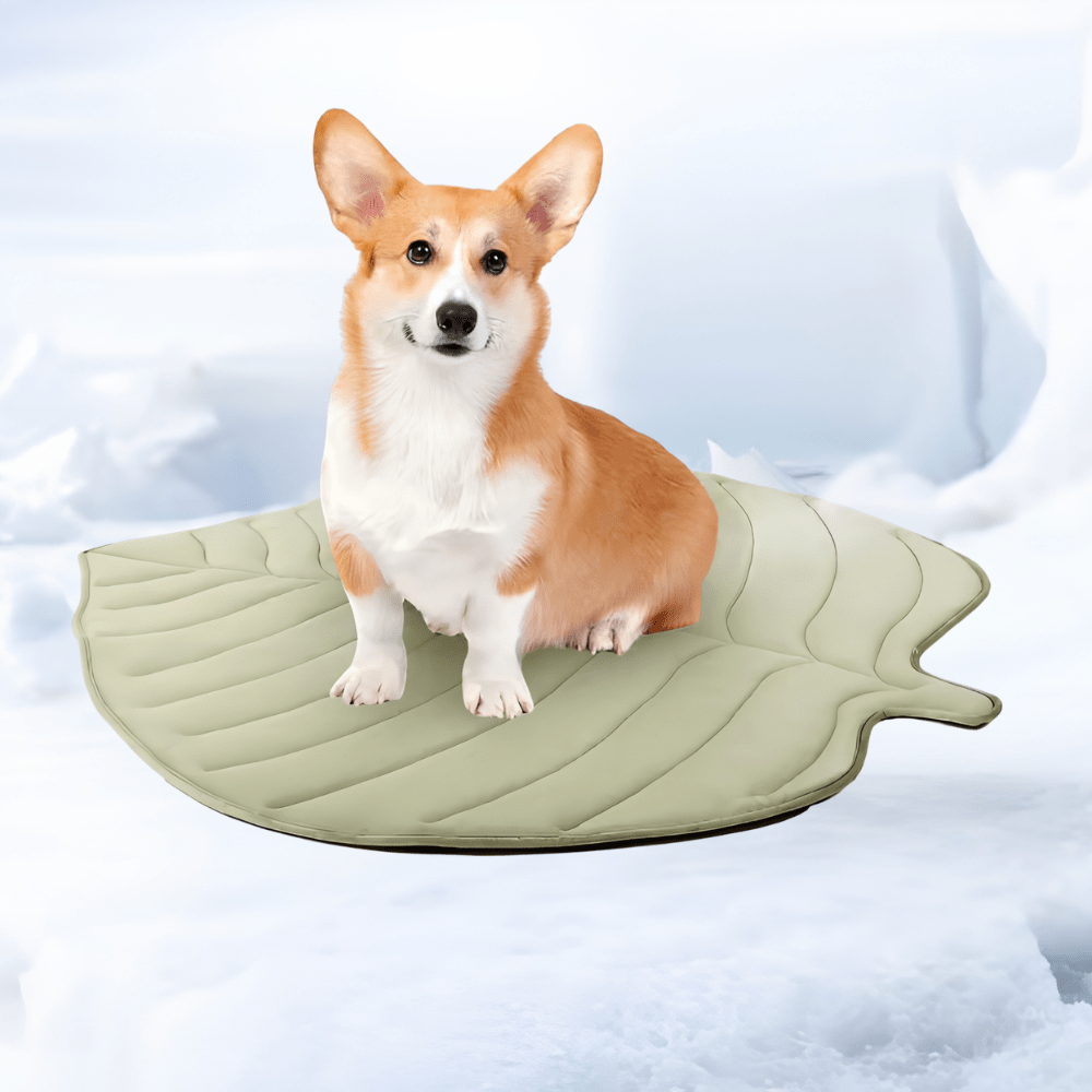 Portable dog cooling mat designed for medium pets, featuring a washable, gel-free sleeping pad that provides comfort and keeps your furry friend cool during warm weather. 1