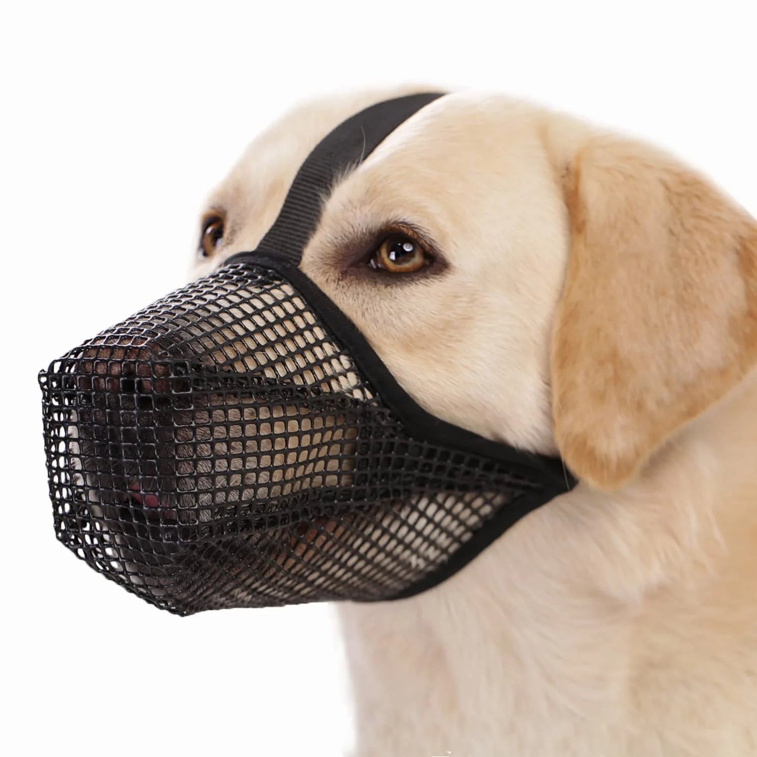 Soft mesh dog muzzle featuring adjustable straps, designed for small dogs; breathable and lightweight for comfort during walks and vet visits. 0