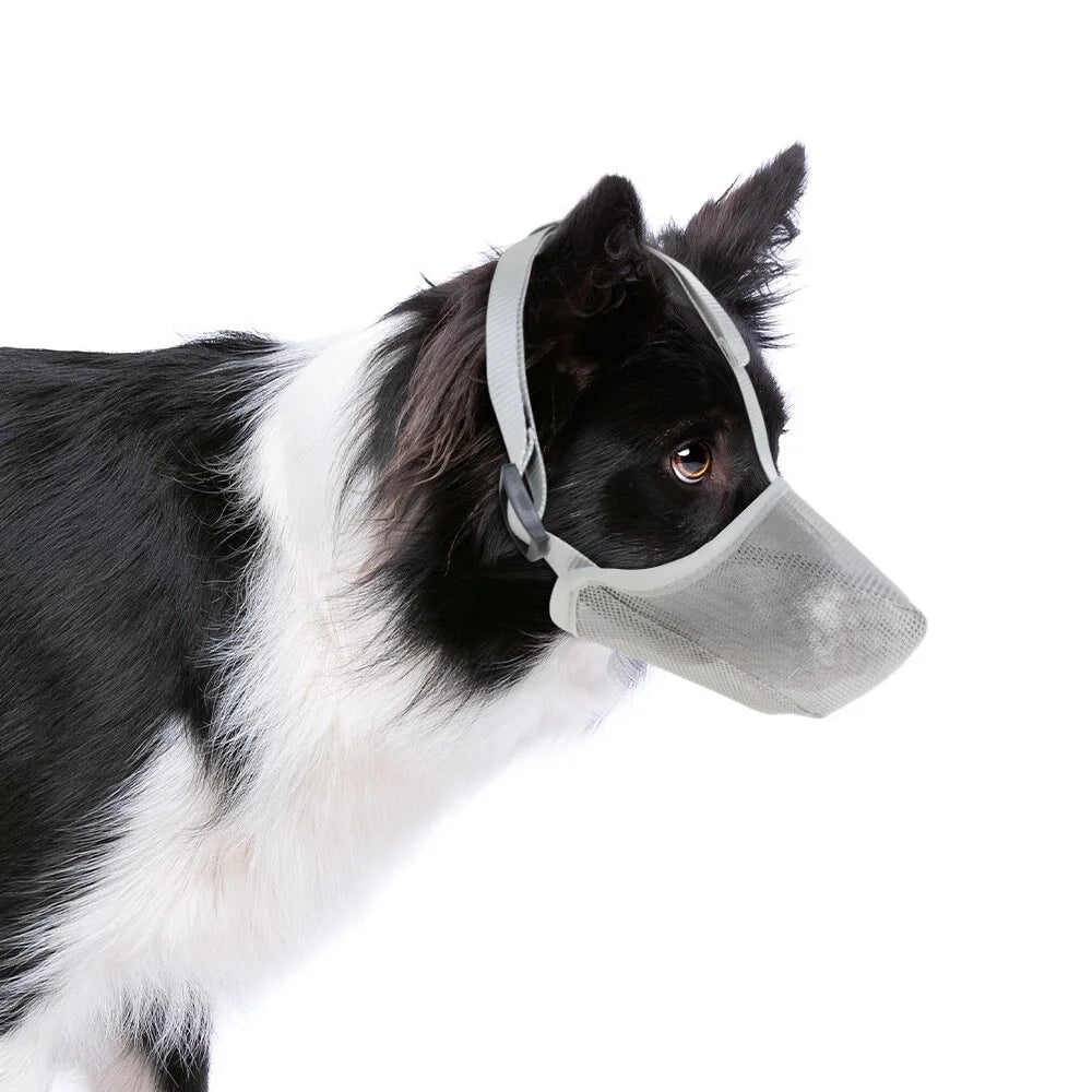 Soft mesh dog muzzle featuring adjustable straps, designed for small dogs; breathable and lightweight for comfort during walks and vet visits. 7