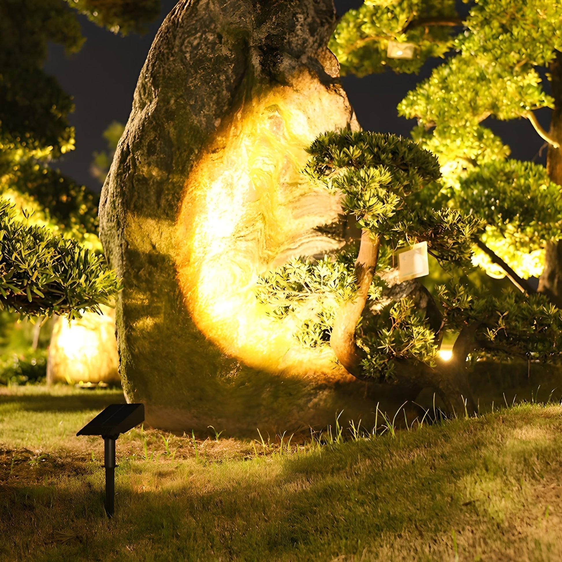 Solar LED garden spot lamp with adjustable beam, designed for wireless outdoor lighting in gardens and pathways, showcasing a sleek design and energy-efficient illumination. 6