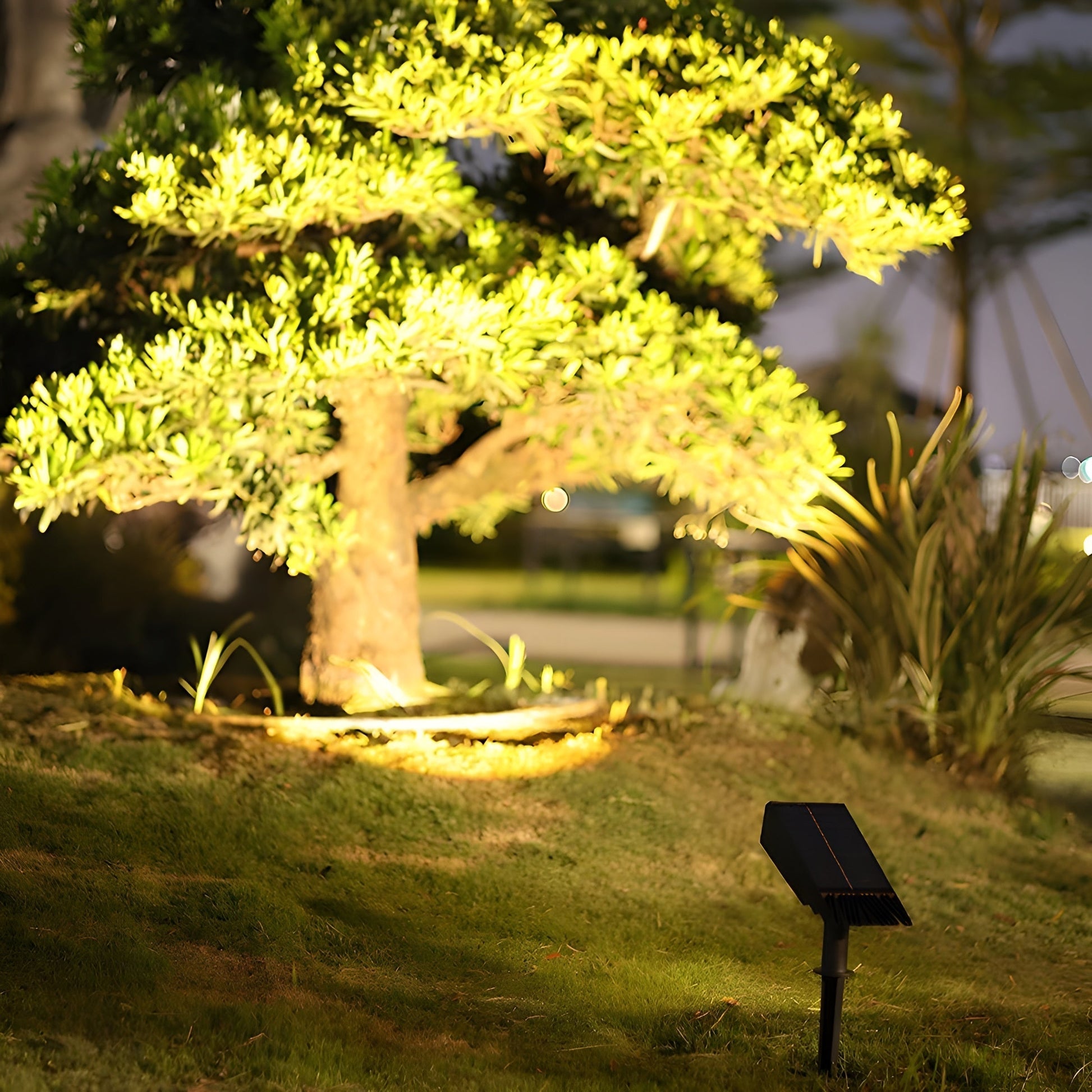 Solar LED garden spot lamp with adjustable beam, designed for wireless outdoor lighting in gardens and pathways, showcasing a sleek design and energy-efficient illumination. 4