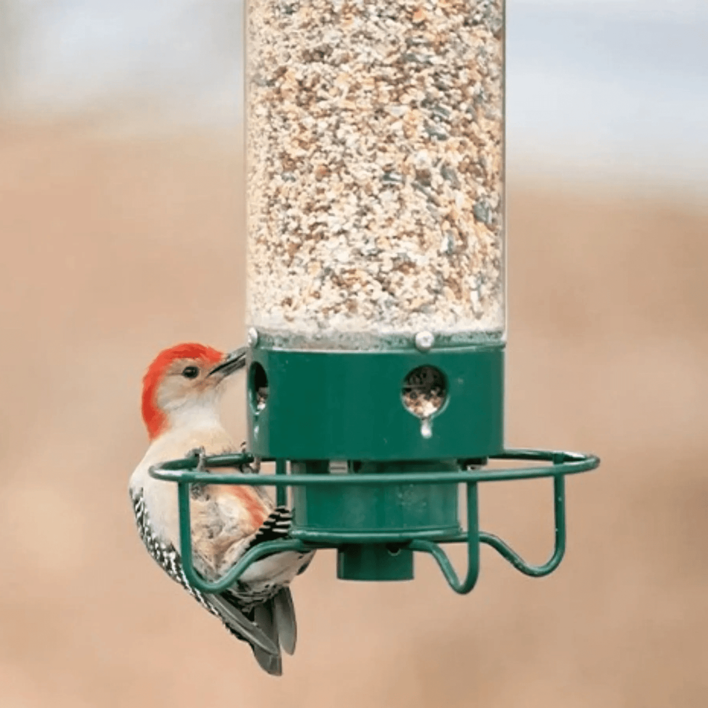 Squirrel-proof bird feeder featuring spinning action, made from durable metal and UV-stabilized polycarbonate for long-lasting outdoor use. 2