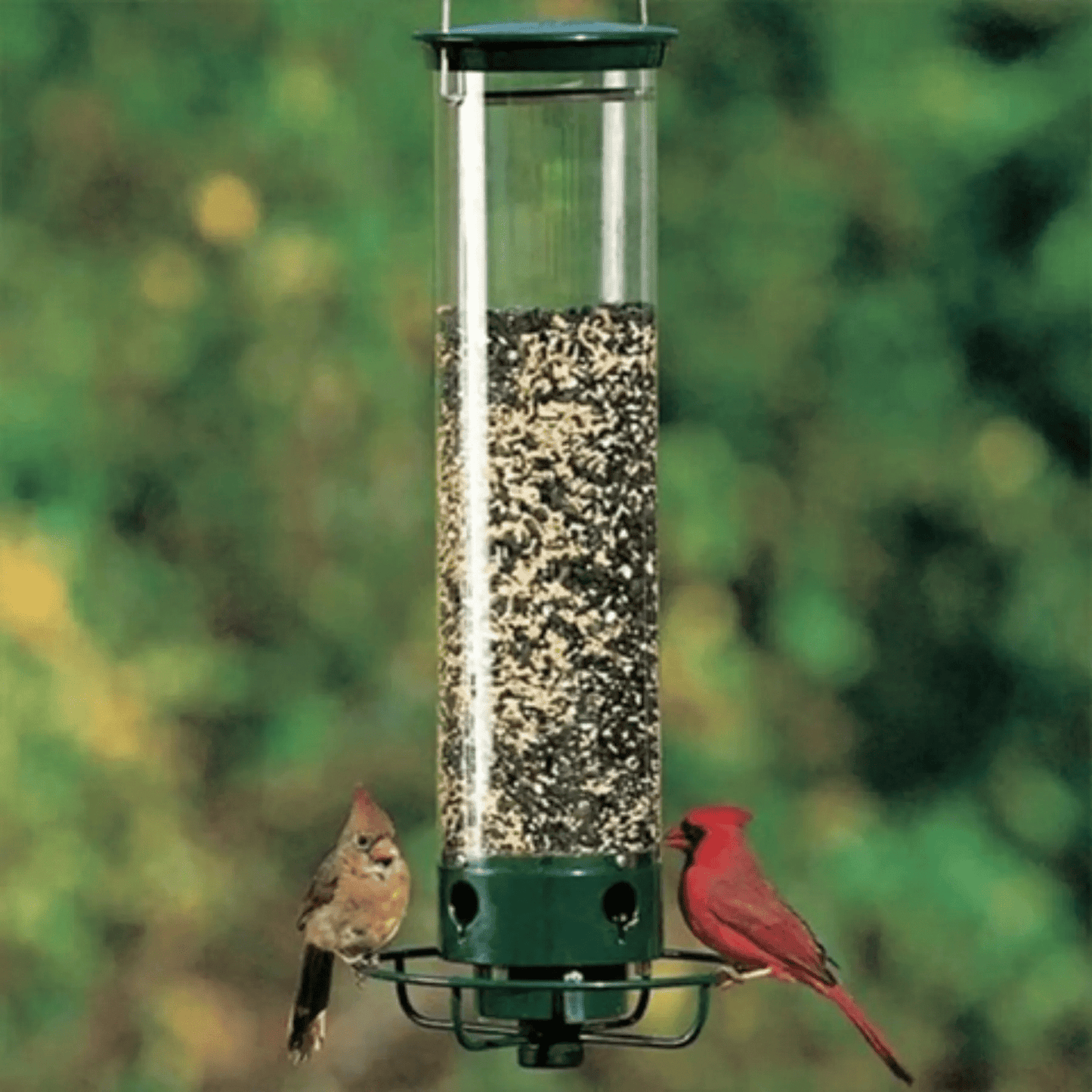 Squirrel-proof bird feeder featuring spinning action, made from durable metal and UV-stabilized polycarbonate for long-lasting outdoor use. 1