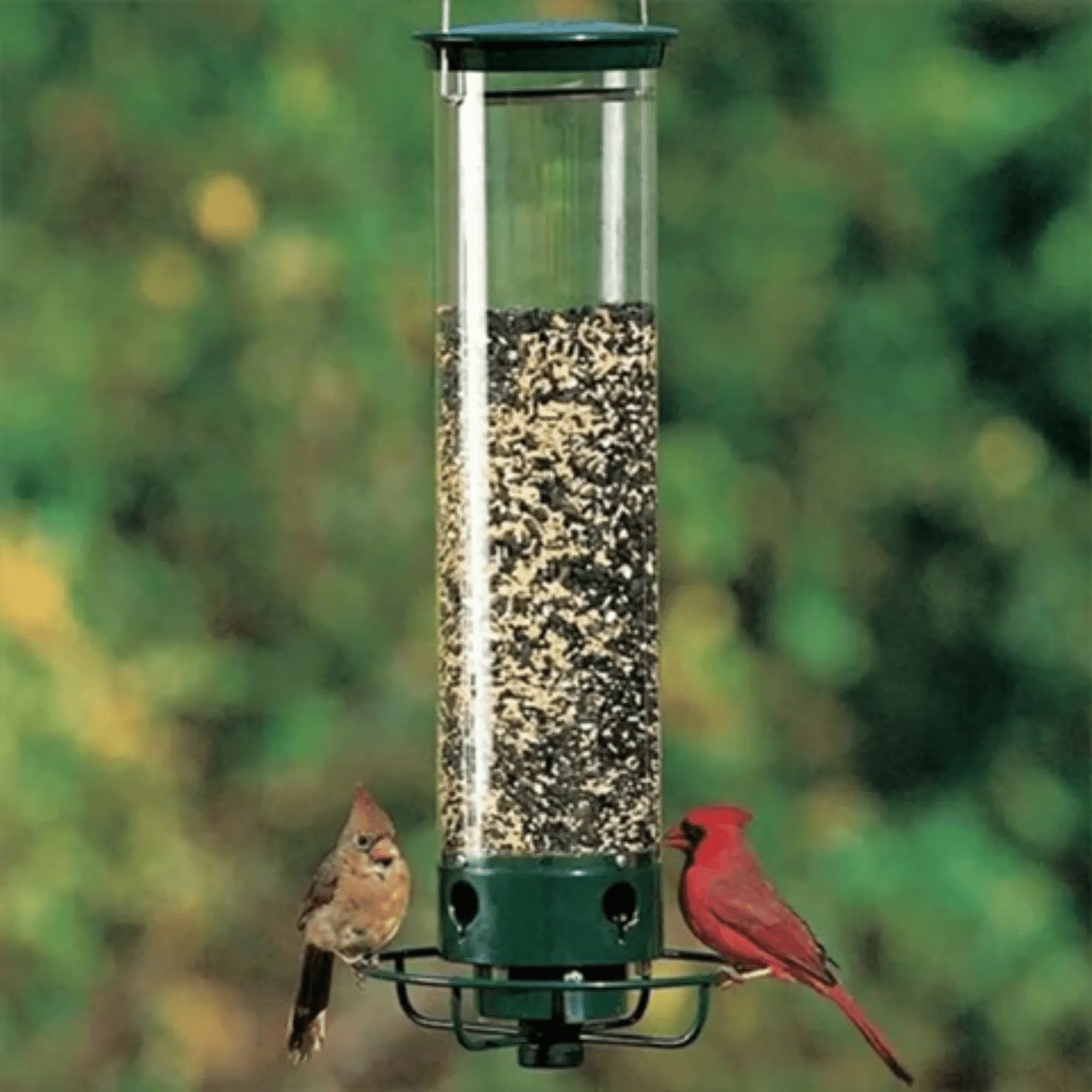 Squirrel-proof bird feeder featuring spinning action, made from durable metal and UV-stabilized polycarbonate for long-lasting outdoor use. 1