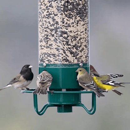 Squirrel-proof bird feeder featuring spinning action, made from durable metal and UV-stabilized polycarbonate for long-lasting outdoor use. 0